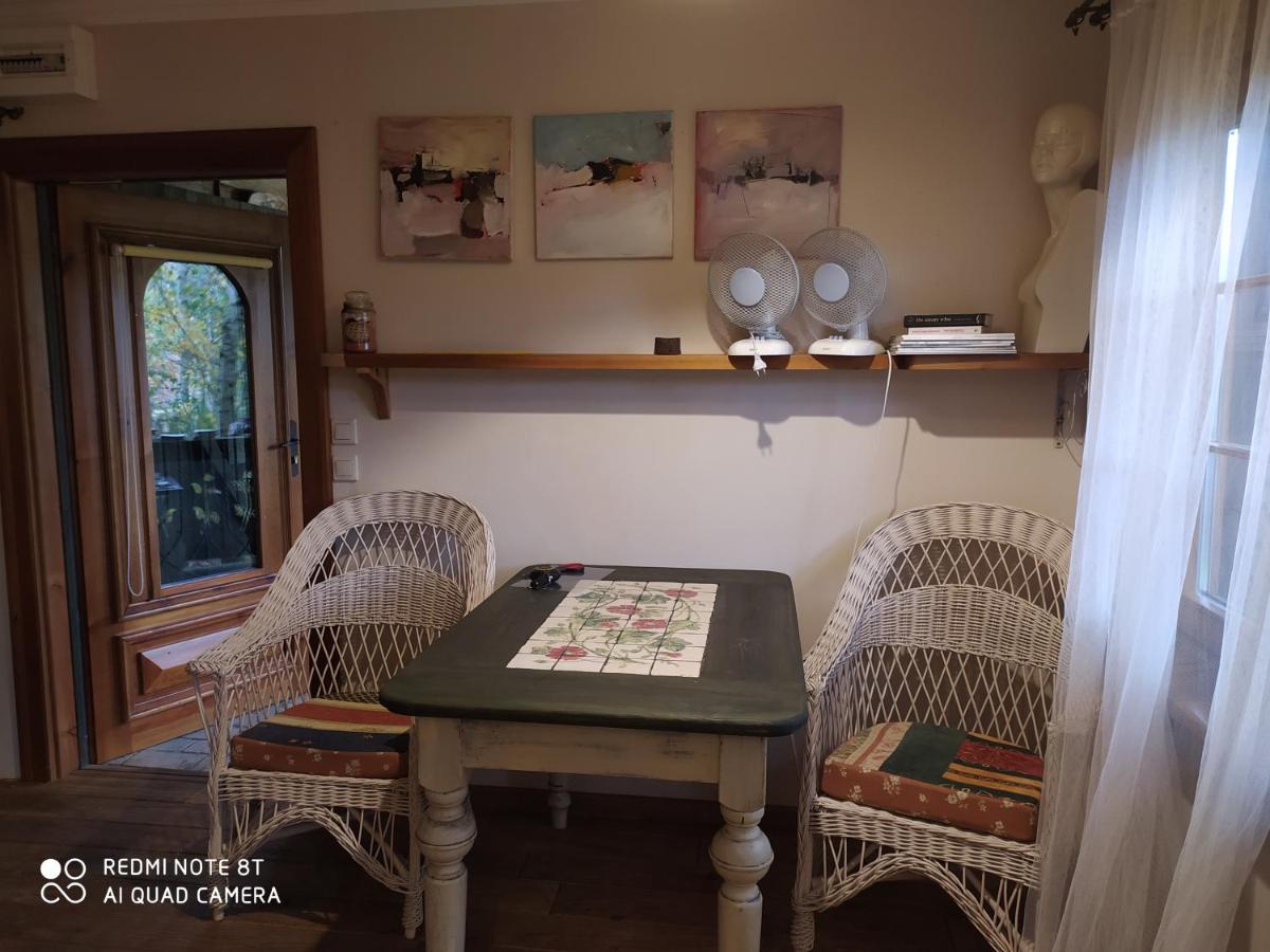 Kamiennikove Villa Kamienniki ภายนอก รูปภาพ